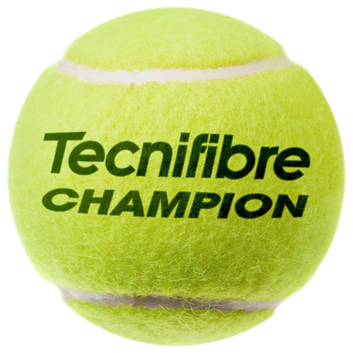 CHAMPION - 1 TUBE OF 4 BALLS